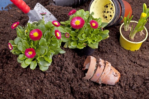 Customer raising a landscaping complaint about completed garden work