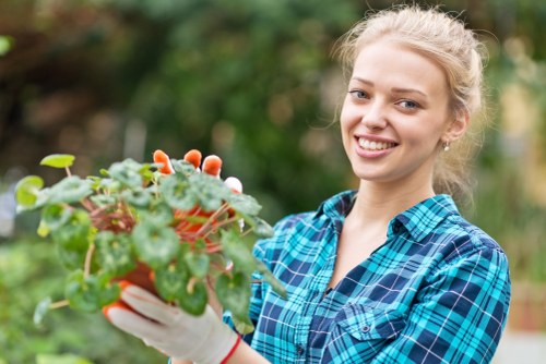 Garden design and build project planning for a Haringey home