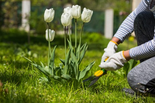 Garden makeover planning for a Haringey home with cleared borders and fresh layout