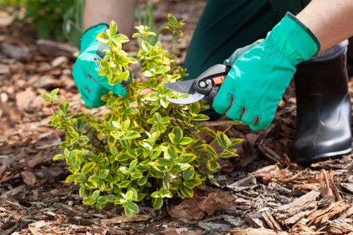 Illustration of essential website cookies for Landscaping Haringey