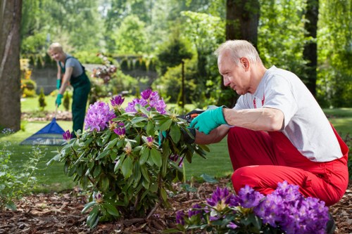 Team reviewing ethical labour standards in landscaping operations