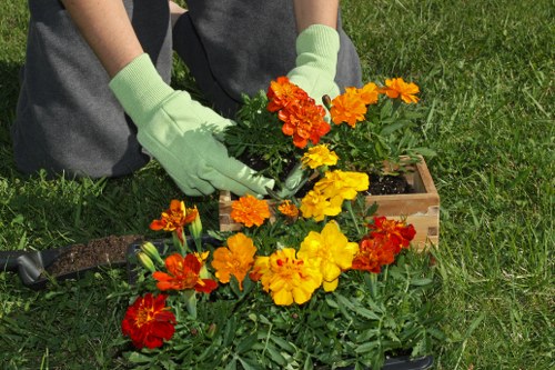 Transparent landscaping pricing and estimates for Haringey gardens