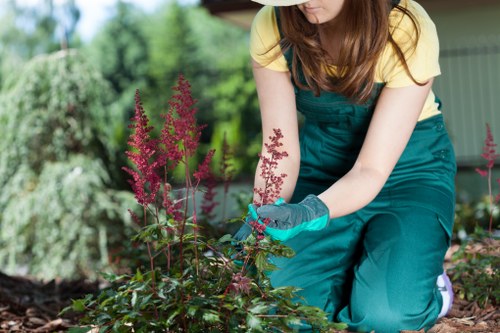 Load-based garden waste removal in a Haringey property