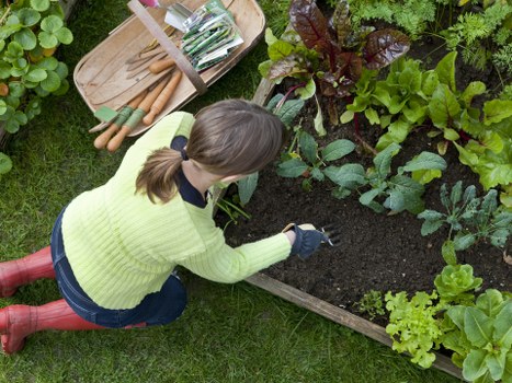 Waste collection and site clearance during landscaping service