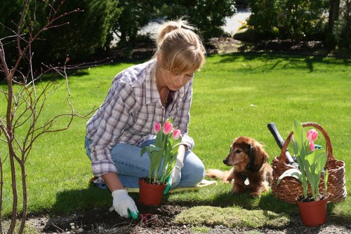 Accessibility limitations and ongoing improvements for local landscaping content