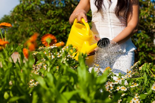 Free quote for landscaping work in Haringey