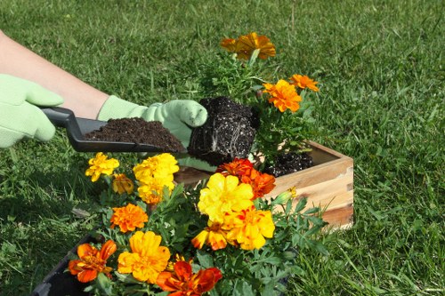 Updated cookie settings and privacy controls for Haringey landscaping website